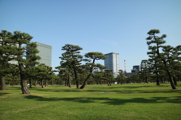 皇居外苑周辺のビル群