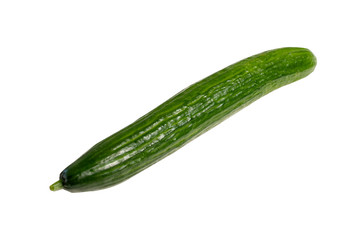 long cucumber. isolate on white background