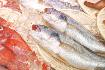 Seafood sold in the Japanese fish market