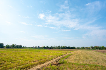 Sky blue or azure sky and clouds is bright white background. Everything lies above surface atmosphere outer space is sky. Cloud is aerosol comprising visible mass  liquid, for creative design graphic