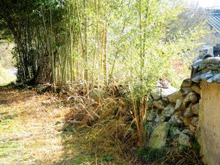 日本の田舎の風景　12月　初冬の田舎道