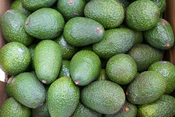 Green avocado in a box