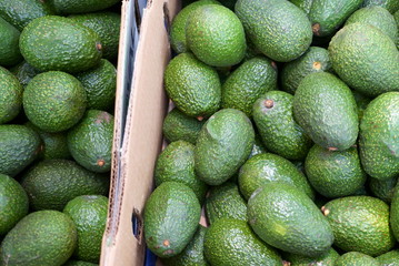 Green avocado in a box