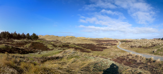 Amrum Northern Germany dune landscape with wooden footpaths, poster panoramic view