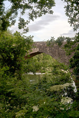Fototapeta na wymiar leafy vegetation with roman stone bridge
