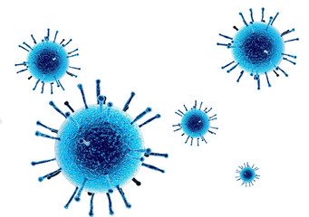 virus layout on the background