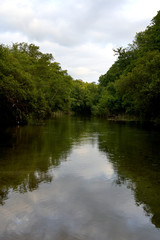 Fototapeta na wymiar river landscape with green vegetation and cloudy sky