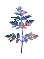 Hand painted branch. Decorative image for creative design of cards, invitations, banners, websites, posters, etc. Beautiful botanical illustration. Bright watercolour paints.