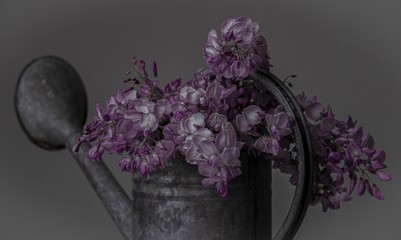 The flowers in the watering can