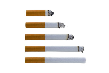 Step of burning cigarette set in different stage isolated on white background. World No Tobacco Day.