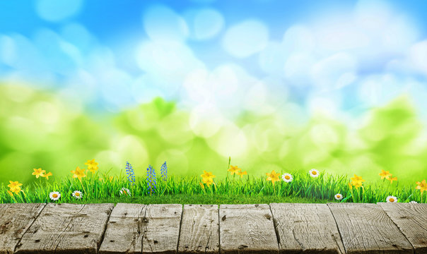 old grunge wooden floor and spring grass background