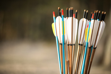 Arrow with blue , white and yellow feather . Archery lessons in a wood