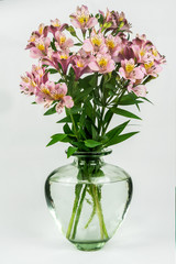 Alstroemeria in a vase