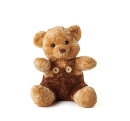 brown teddy bear sitting on a white background