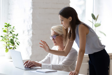 Successful young businesswoman manage supervise middle-aged female employee working on laptop in...