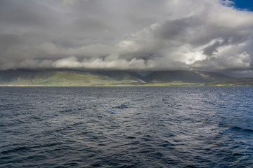 End of fjord. Beautiful Norwegian landscape. view of the fjords. Norway ideal fjord reflection in clear water In cloudy weather. selective focus