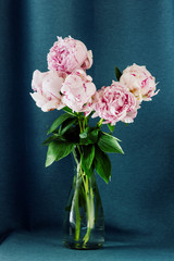 Beautiful peony flowers in vase
