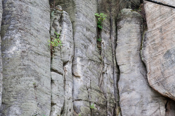 Rock city in Adrspach (Czech Republic, Czechia) with texture of rocks like silver background