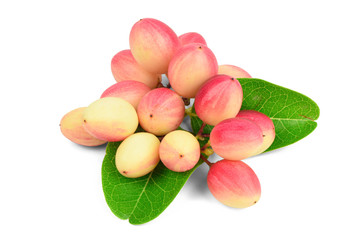 Carissa carandas Linn, Bengal currants, Karanda ,Carunda ,Karonda ,Koromcha fruits isolated on white background with clipping path.