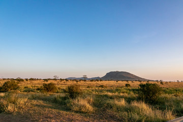 タンザニア・セレンゲティ国立公園のモーニングサファリで見た草原と青空