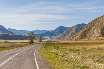 road to Altai Mountains, Altai region, Siberia, Russia.