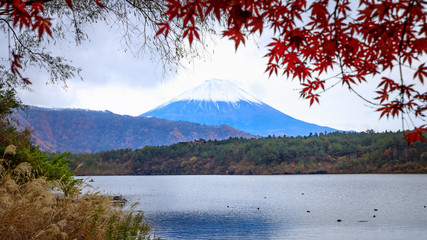 Fuji Mountain at Lake view Kawaguchiko Japn in Autumn Season.