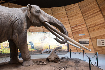 Model of mastodon - 352190667