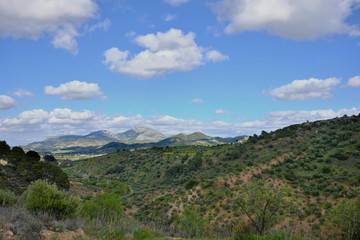 Fototapeta na wymiar Colors of Andalucia