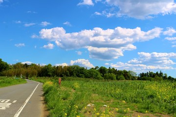 緑　空　爽やか　風景　栃木