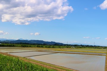 田舎　のどか　青空　水田　風景　栃木