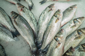 frozen sea bass standing on ice at market counter