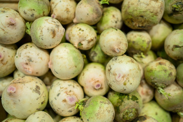 fresh radish standing at the market counter