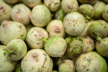 fresh radish standing at the market counter