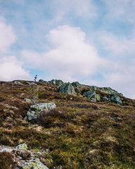 paysages montagneux