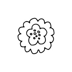 Simple hand drawn floral element isolated on white background. Doodle style. Plants vector illustration.