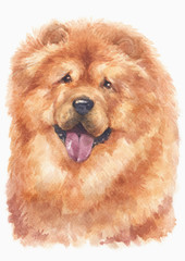 Fototapeta premium Water colour painting of Chow Chow 155