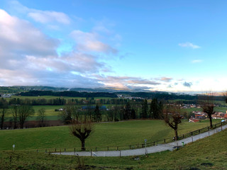 autumn landscape with trees
