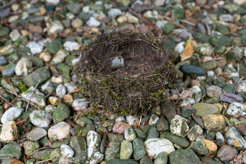 A bird's nest that has fallen out  of the tree and has a hole made of natural materials lies on small stones in a garden