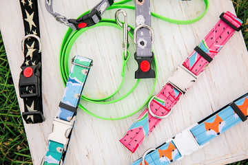 Dog Collar and Leash set. Pet Supplies and Walking Gear Collection