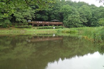 Fototapeta na wymiar 大和市・泉の森公園の風景