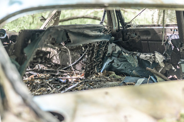 1959 Chevy, Wrecked and Abandoned