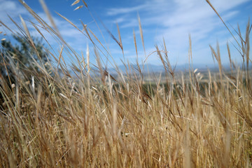 Obraz premium Paesaggio