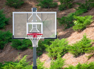 A basketball hoop with a lush green background