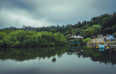 Forest with a port on it's end beside a water body in the indian ocean