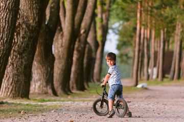 Naklejka premium Cute little boy on balance bike. Kid on bicycle. Preschooler learning to balance on run bicycle. Sport for kids. Backview
