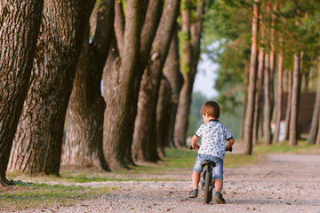 Naklejka premium Cute little boy on balance bike. Kid on bicycle. Preschooler learning to balance on run bicycle. Sport for kids. Backview