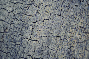 texture of old wood, can be used as background