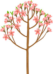 Fototapeta na wymiar Cartoon flowering peach tree with pink flowers isolated on white background