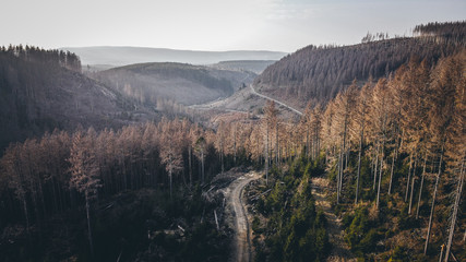Harz 