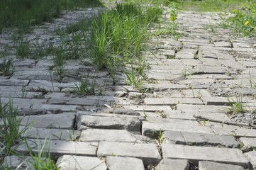white brick road with sprouted grass
